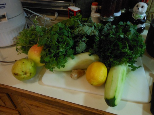 Today's juicing recipe called for lemons, cukes, ginger, apples, pears, parsley, lettuce, spinach, kale,  celery and cilantro.  No animals were injured or maimed in the process.